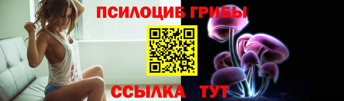 что такое   Вход с VPN  Обь  Псилоцибиновые грибы мицелий 